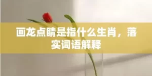 画龙点睛是指什么生肖，落实词语解释