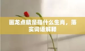 画龙点睛是指什么生肖，落实词语解释