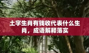 土字生肖有钱收代表什么生肖，成语解释落实