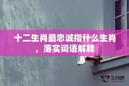 十二生肖最忠诚指什么生肖，落实词语解释