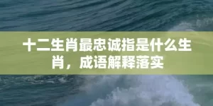 十二生肖最忠诚指是什么生肖，成语解释落实