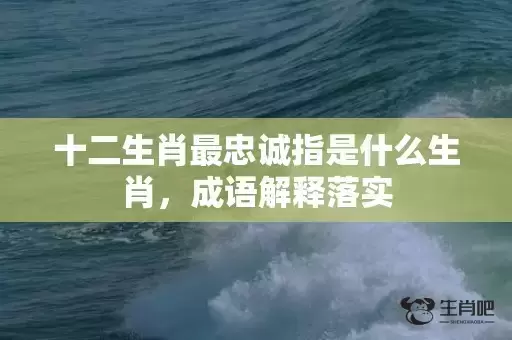 十二生肖最忠诚指是什么生肖，成语解释落实