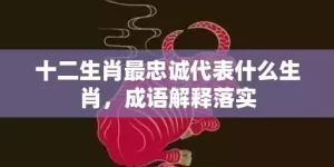 十二生肖最忠诚代表什么生肖，成语解释落实