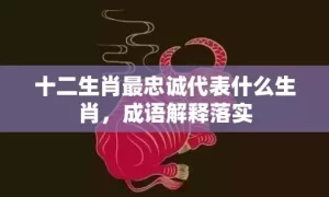 十二生肖最忠诚代表什么生肖，成语解释落实