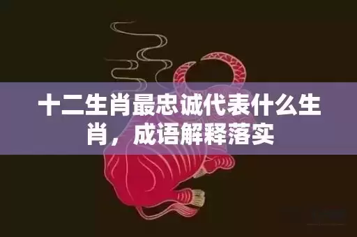 十二生肖最忠诚代表什么生肖,成语解释落实 十二生肖最忠诚代表什么生肖,成语解释落实