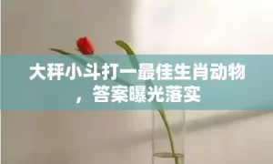 大秤小斗打一最佳生肖动物，答案曝光落实