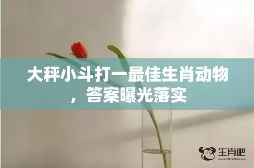 大秤小斗打一最佳生肖动物，答案曝光落实