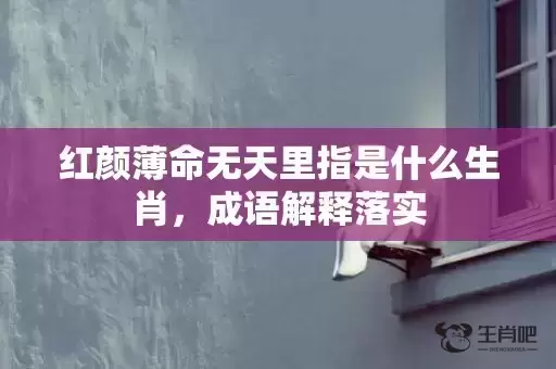 红颜薄命无天里指是什么生肖，成语解释落实