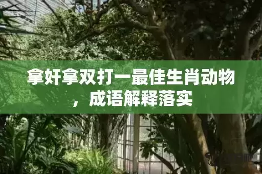拿奸拿双打一最佳生肖动物，成语解释落实