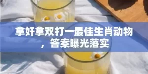 拿奸拿双打一最佳生肖动物，答案曝光落实