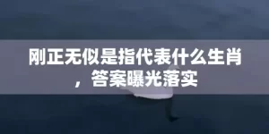 刚正无似是指代表什么生肖，答案曝光落实