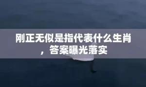 刚正无似是指代表什么生肖，答案曝光落实