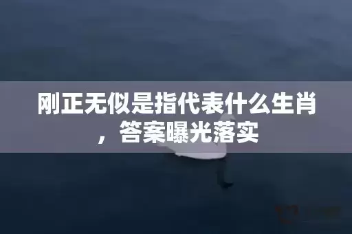 刚正无似是指代表什么生肖，答案曝光落实
