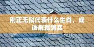 刚正无似代表什么生肖，成语解释落实