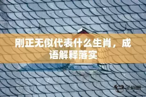 刚正无似代表什么生肖，成语解释落实