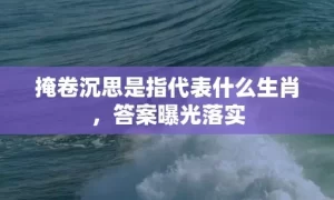 掩卷沉思是指代表什么生肖，答案曝光落实