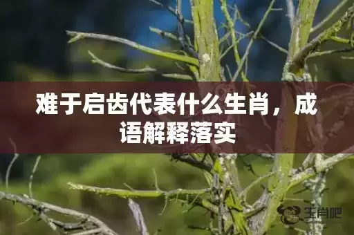 难于启齿代表什么生肖,成语解释落实 难于启齿代表什么生肖,成语解释落实