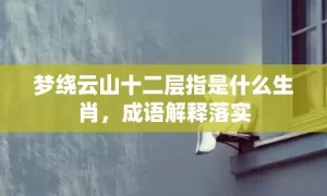 梦绕云山十二层指是什么生肖，成语解释落实