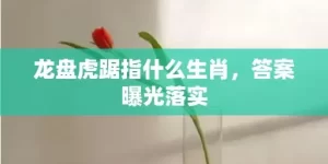 龙盘虎踞指什么生肖，答案曝光落实