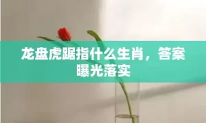 龙盘虎踞指什么生肖，答案曝光落实