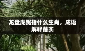 龙盘虎踞指什么生肖，成语解释落实