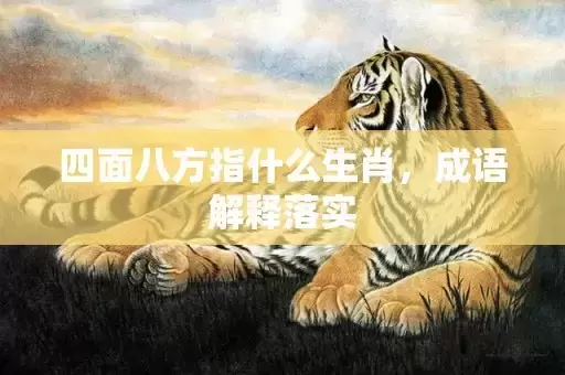 四面八方指什么生肖，成语解释落实