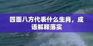 四面八方代表什么生肖，成语解释落实