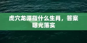 虎穴龙潭指什么生肖，答案曝光落实