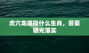 虎穴龙潭指什么生肖，答案曝光落实