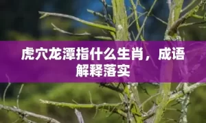 虎穴龙潭指什么生肖，成语解释落实