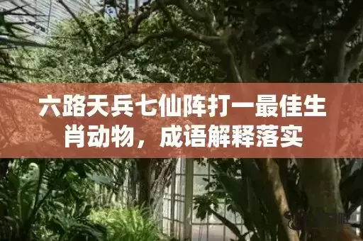 六路天兵七仙阵打一最佳生肖动物，成语解释落实
