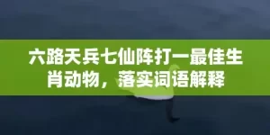 六路天兵七仙阵打一最佳生肖动物，落实词语解释