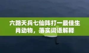 六路天兵七仙阵打一最佳生肖动物，落实词语解释