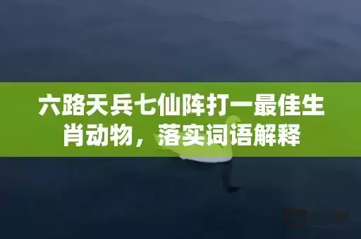 六路天兵七仙阵打一最佳生肖动物，落实词语解释