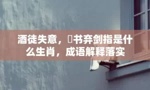 酒徒失意，拋书弃剑指是什么生肖，成语解释落实