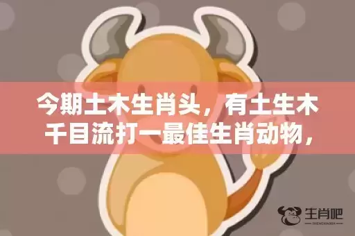 今期土木生肖头，有土生木千目流打一最佳生肖动物，落实词语解释
