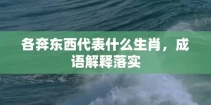 各奔东西代表什么生肖，成语解释落实