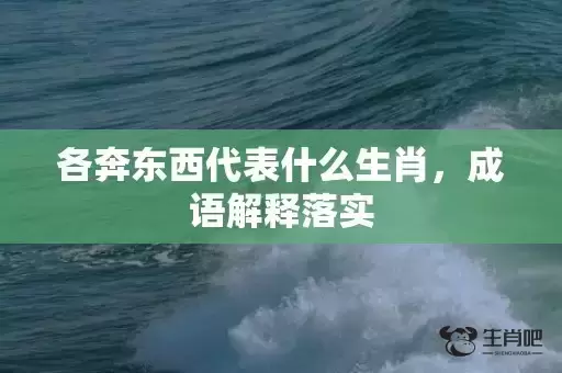 各奔东西代表什么生肖,成语解释落实 各奔东西代表什么生肖,成语解释落实