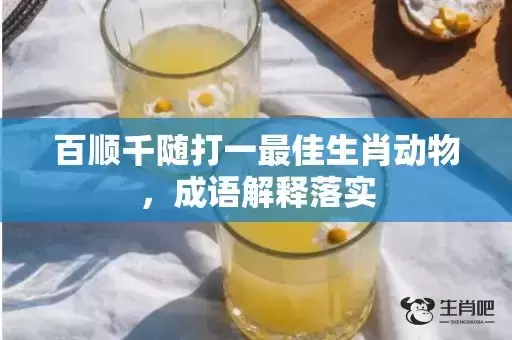 百顺千随打一最佳生肖动物，成语解释落实