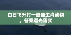 白日飞升打一最佳生肖动物，答案曝光落实