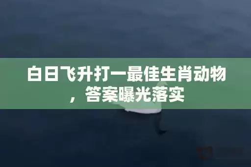 白日飞升打一最佳生肖动物，答案曝光落实