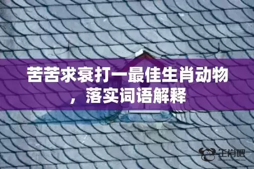 苦苦求衰打一最佳生肖动物，落实词语解释