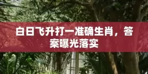 白日飞升打一准确生肖，答案曝光落实