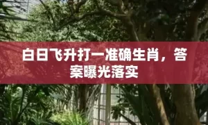 白日飞升打一准确生肖，答案曝光落实