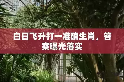 白日飞升打一准确生肖,答案曝光落实 白日飞升打一准确生肖,答案曝光落实
