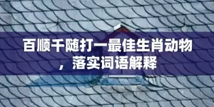 百顺千随打一最佳生肖动物，落实词语解释