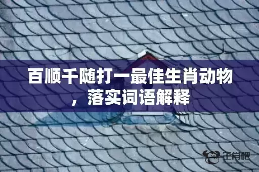 百顺千随打一最佳生肖动物，落实词语解释