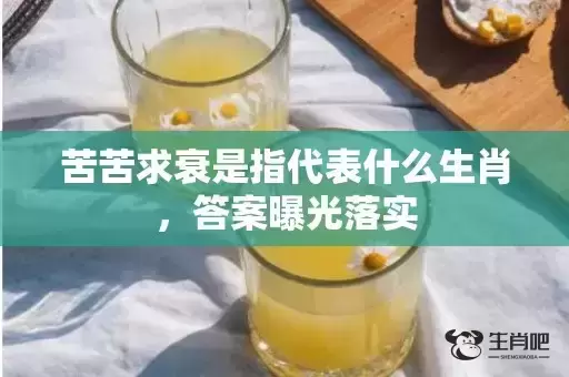 苦苦求衰是指代表什么生肖,答案曝光落实 苦苦求衰是指代表什么生肖,答案曝光落实