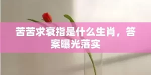 苦苦求衰指是什么生肖，答案曝光落实