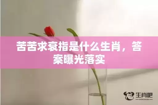 苦苦求衰指是什么生肖，答案曝光落实
